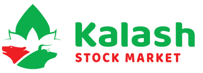 Kalash Stock Market Pvt. Ltd